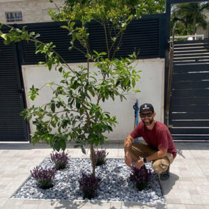 Garden-design-landscape